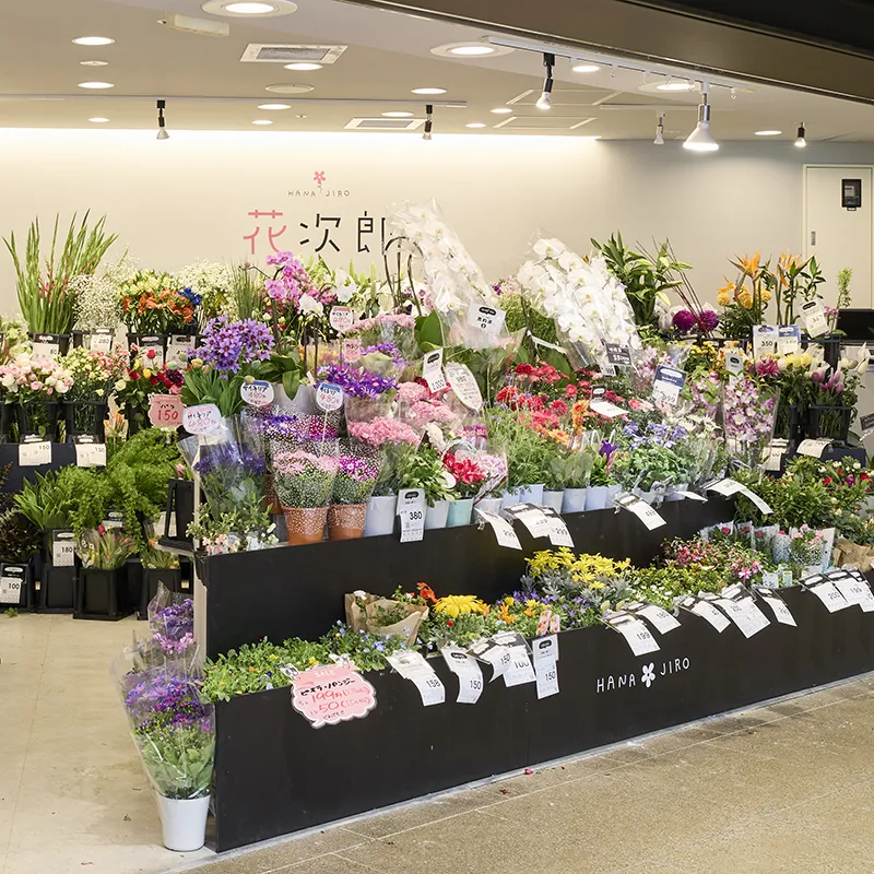 FLOWER SHOP HANAJIRO
